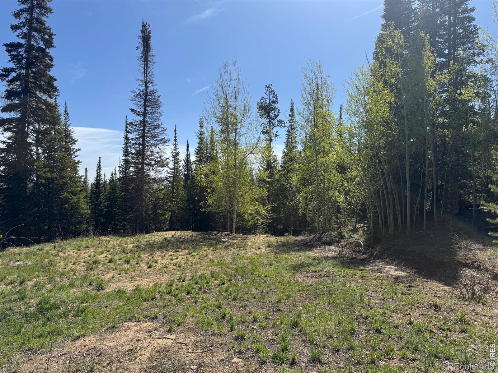 44 Alpine Lane Walden CO 80480