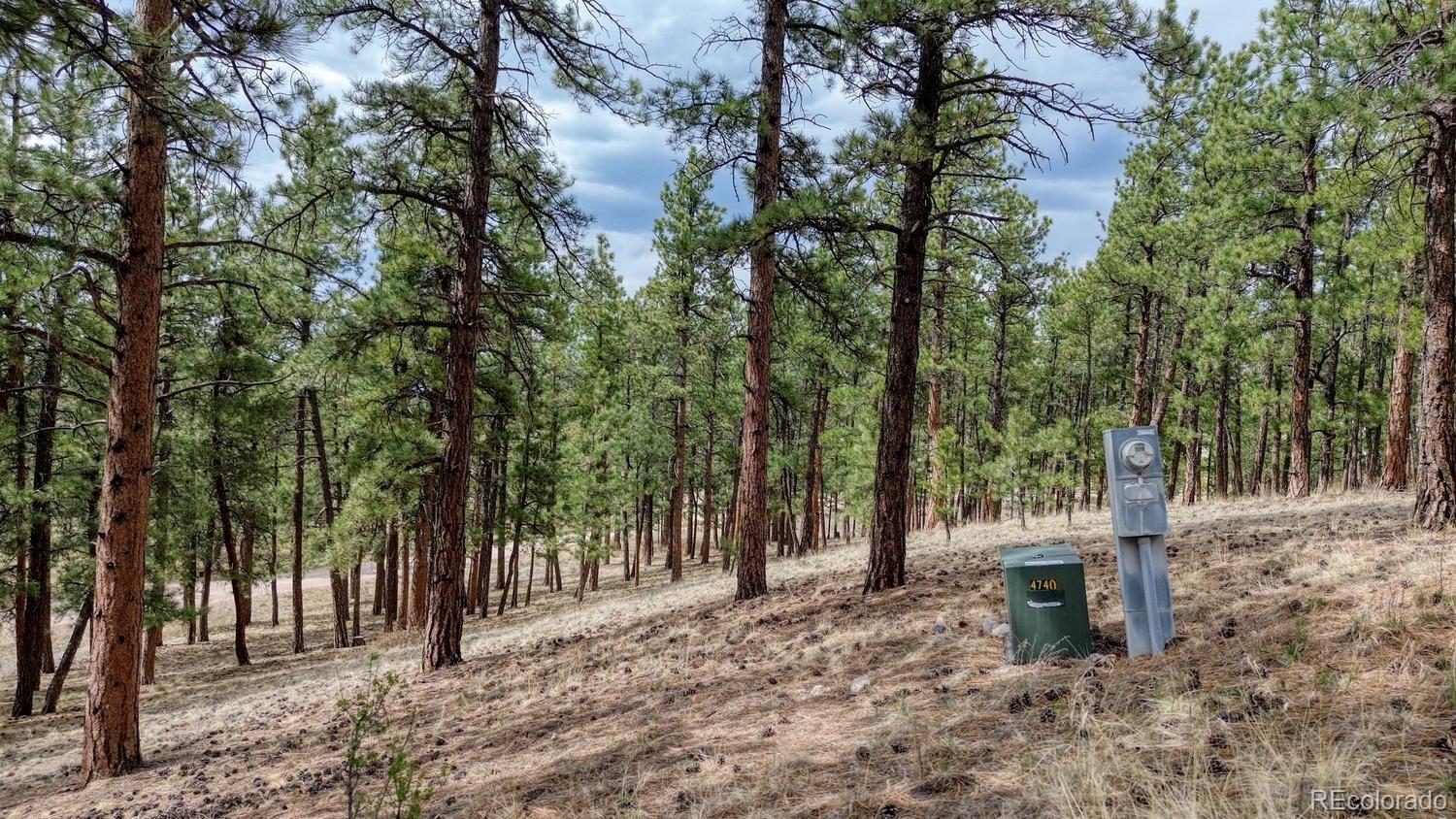 453 Black Fawn Lane Westcliffe CO 81252