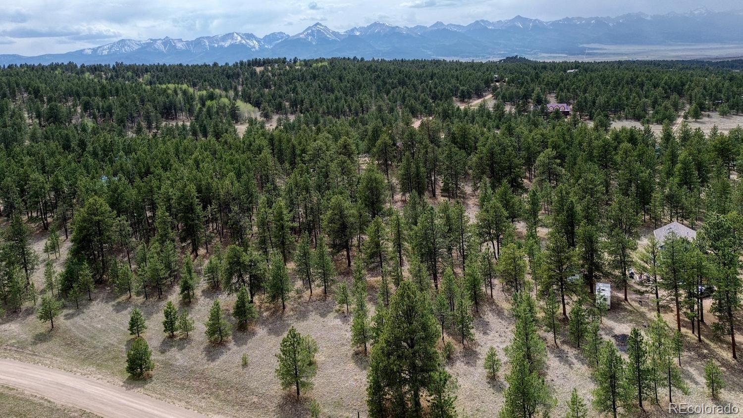 453 Black Fawn Lane Westcliffe CO 81252
