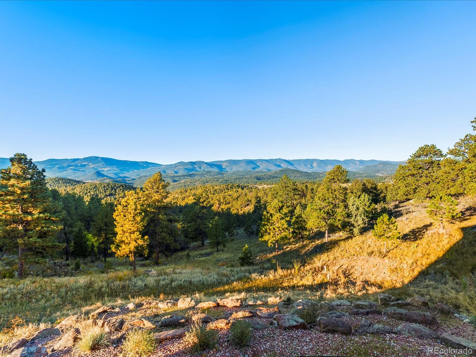 33958 Running Bear Trail Pine CO 80470