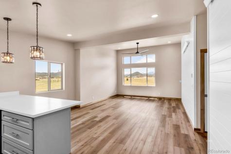 388 14th Trail Cotopaxi CO 81223