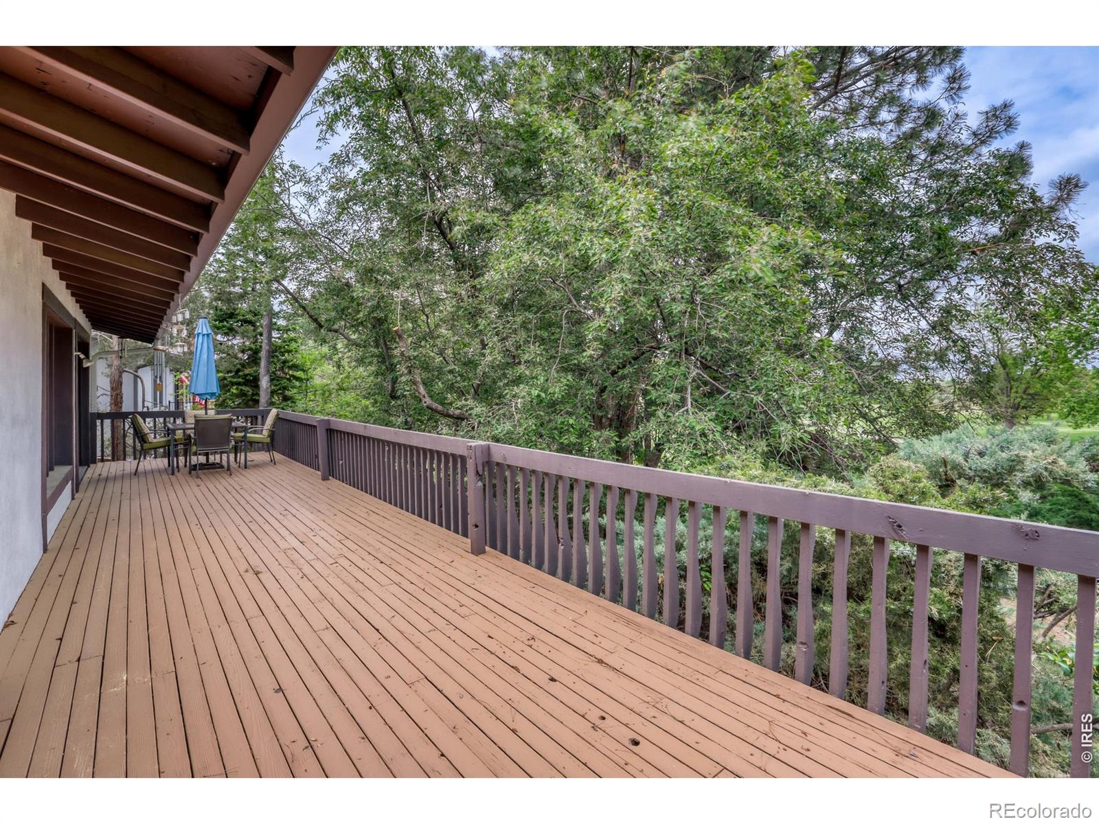 5719 W 24th Street Greeley CO 80634