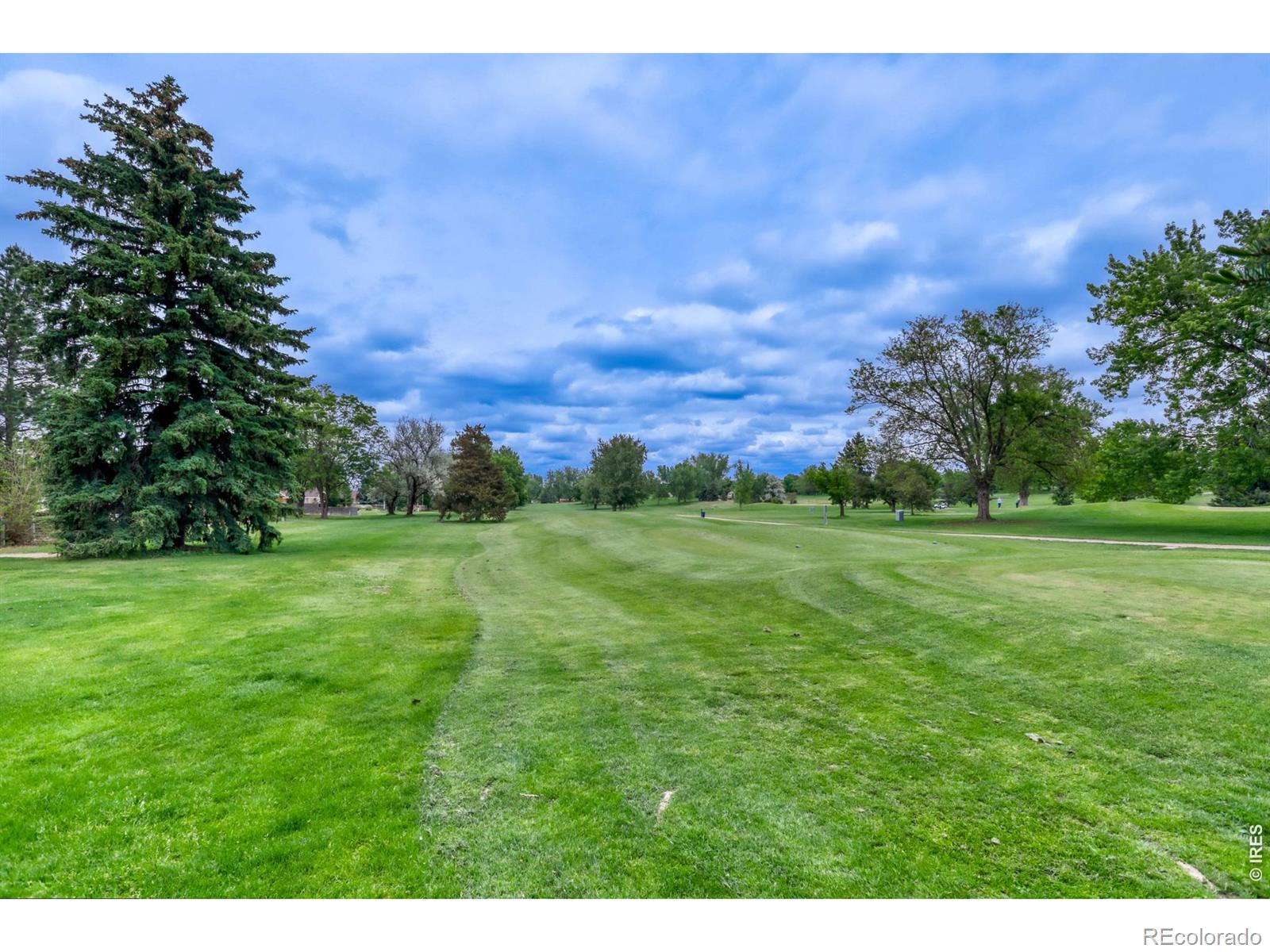 5719 W 24th Street Greeley CO 80634