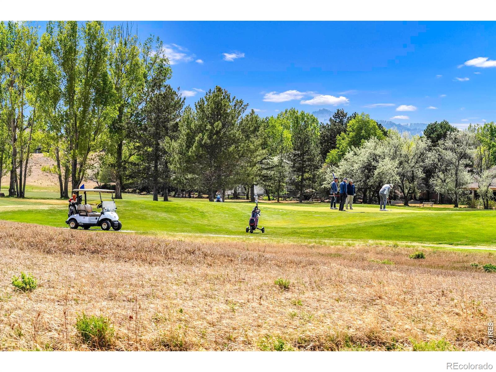 4080 Greens Place Longmont CO 80503