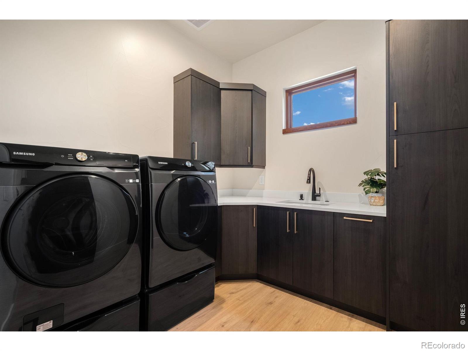 1501 Flowering Tree Court Windsor CO 80550
