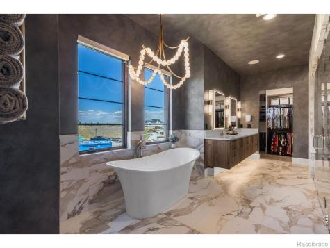 1501 Flowering Tree Court Windsor CO 80550