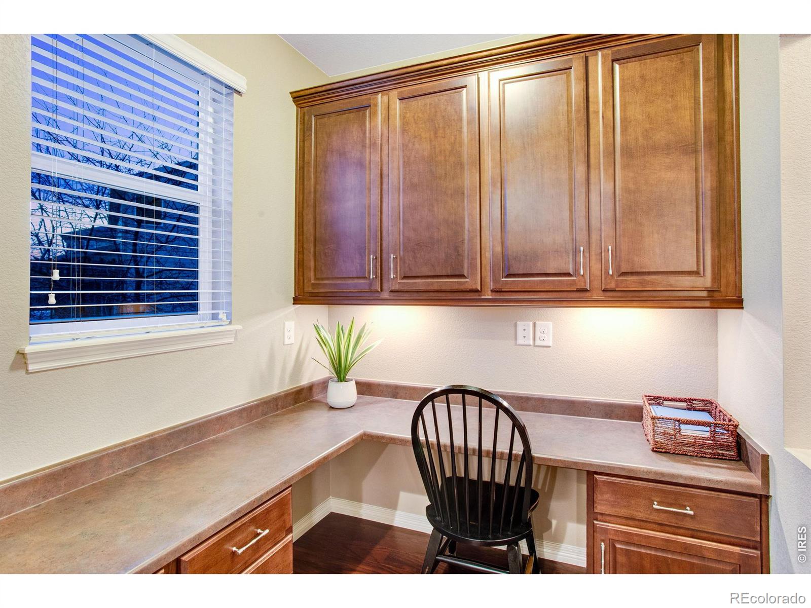 5728 Connor Street Timnath CO 80547