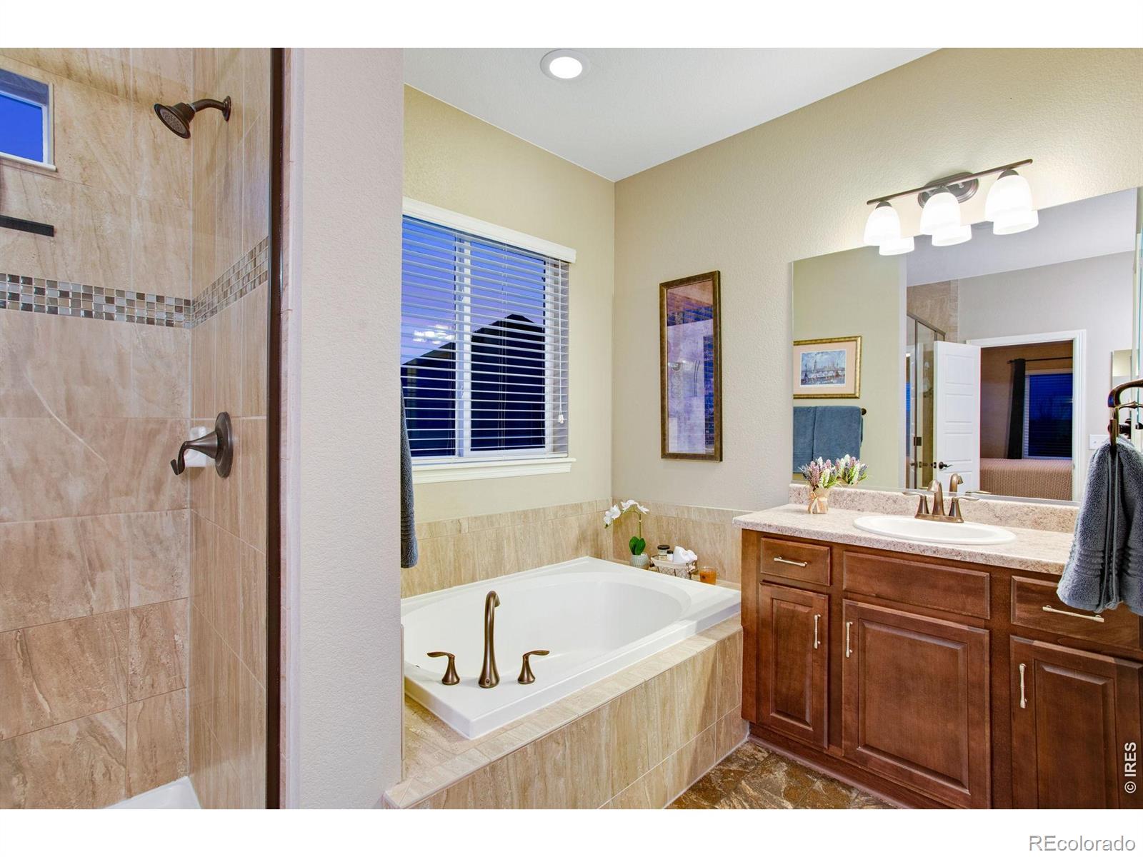 5728 Connor Street Timnath CO 80547