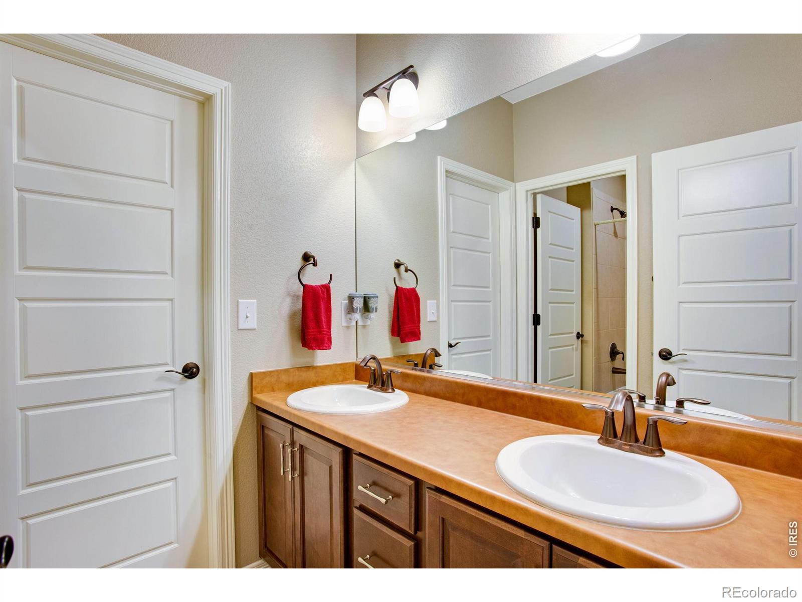 5728 Connor Street Timnath CO 80547