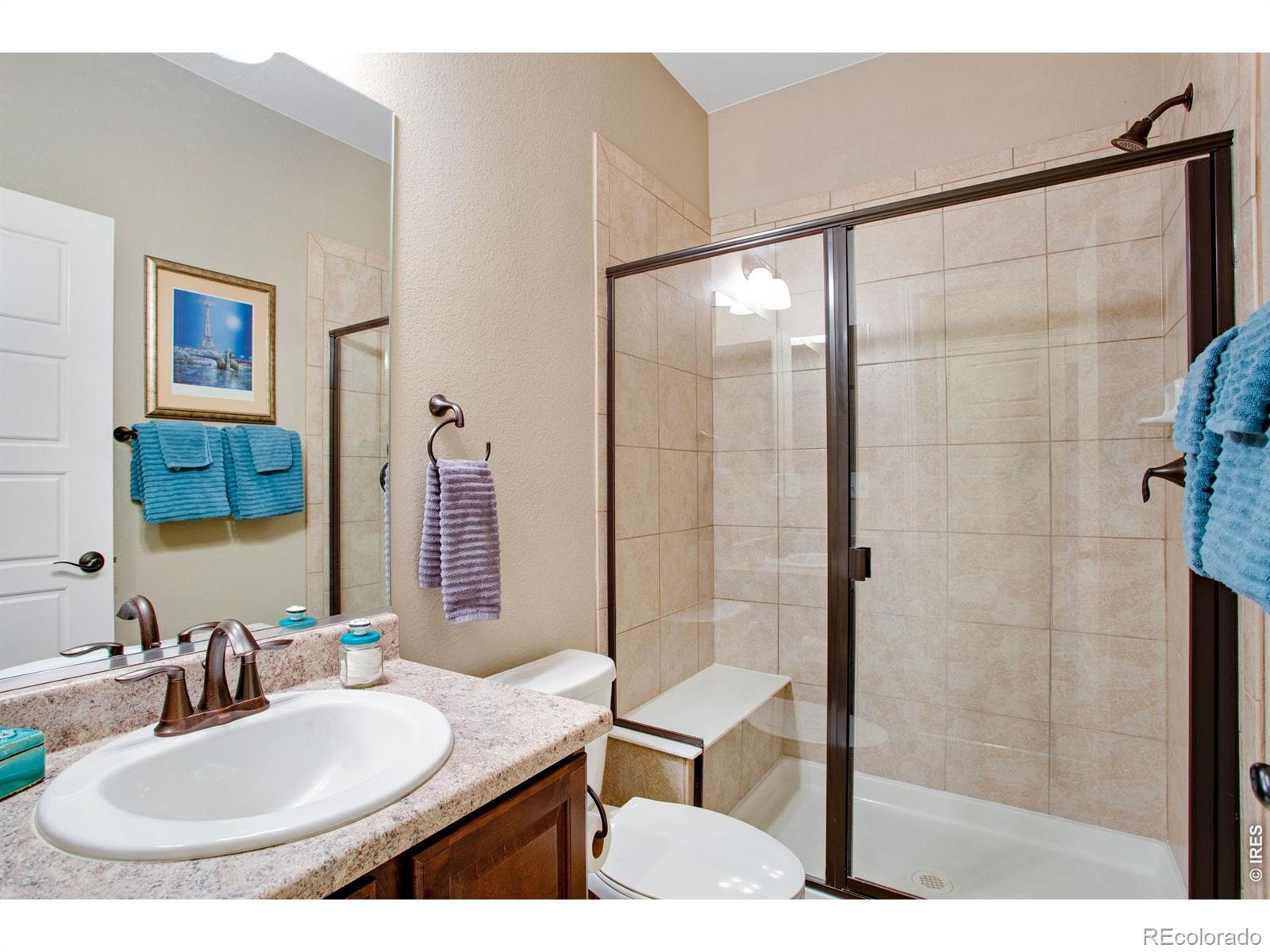 5728 Connor Street Timnath CO 80547