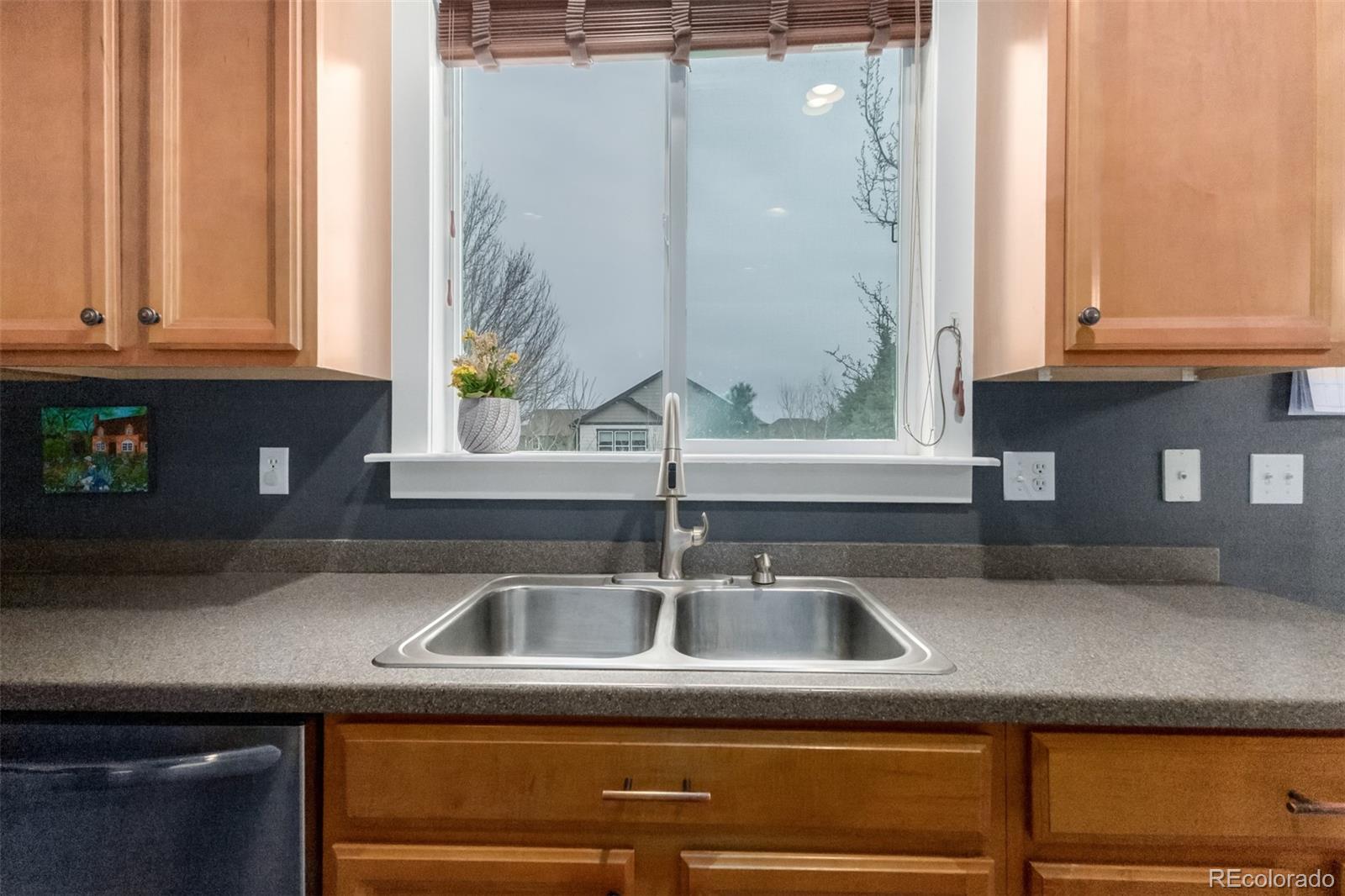 516 Gardner Street Castle Rock CO 80104