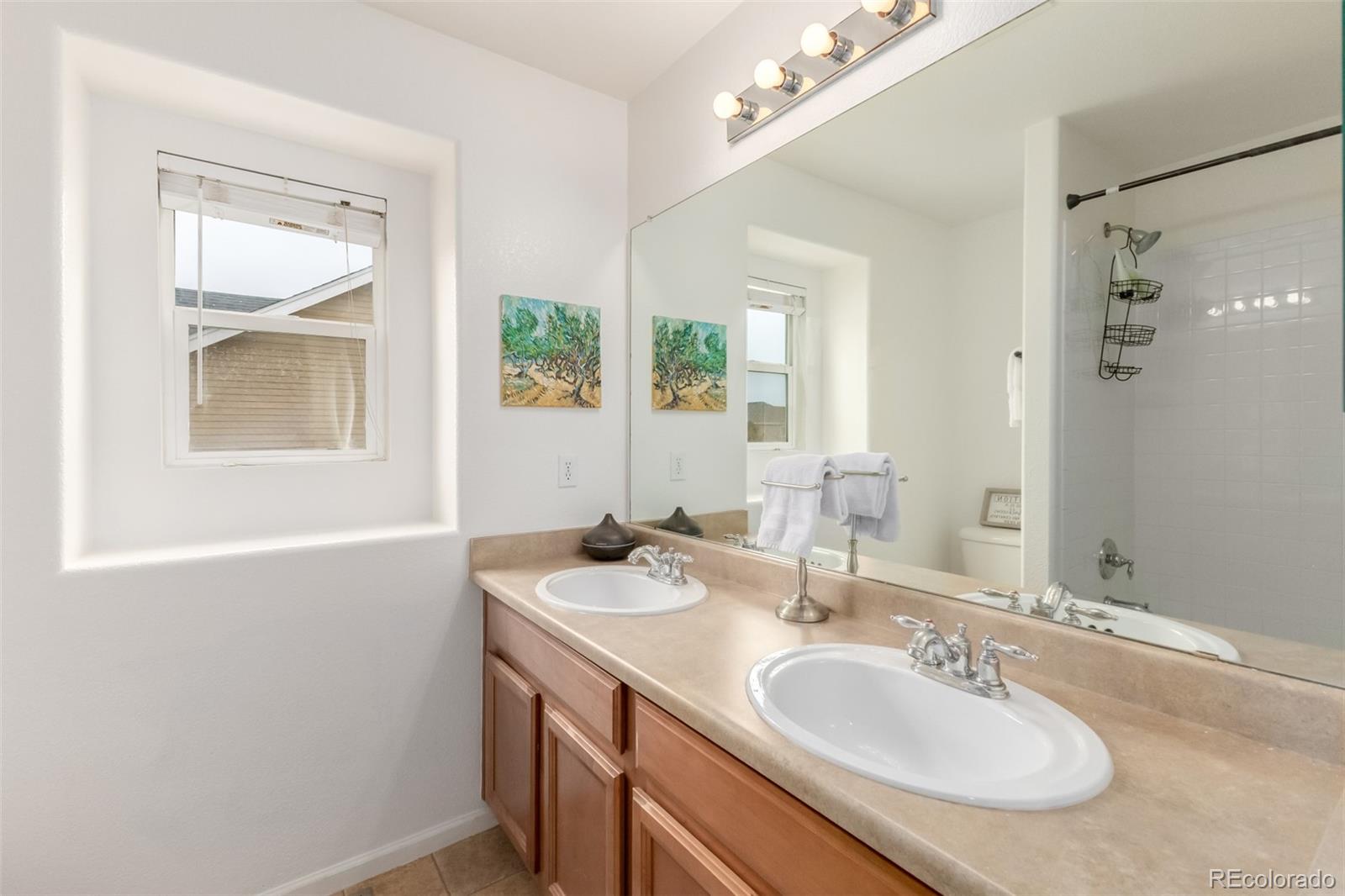 516 Gardner Street Castle Rock CO 80104