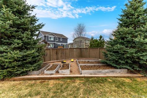 516 Gardner Street Castle Rock CO 80104