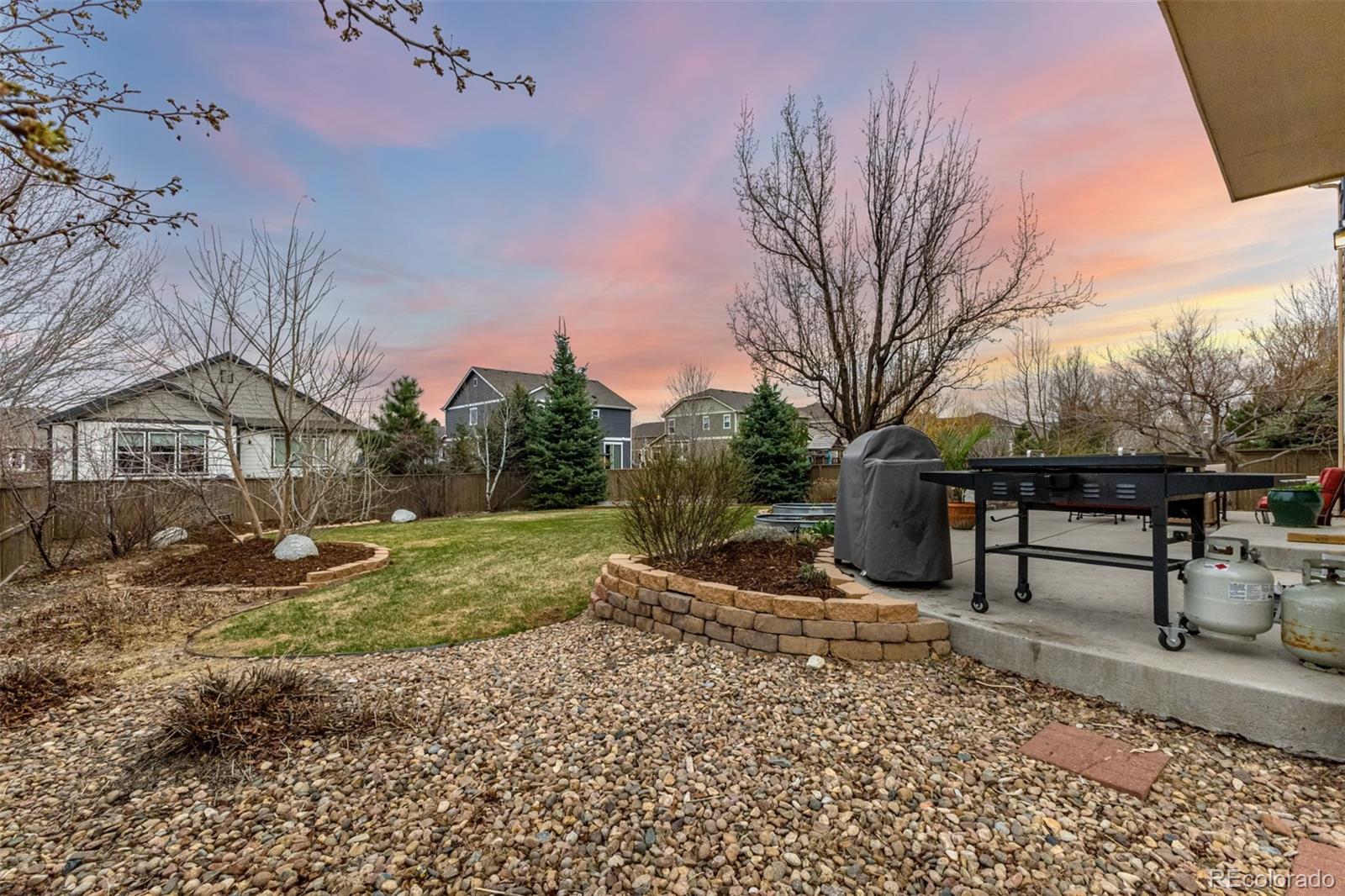 516 Gardner Street Castle Rock CO 80104