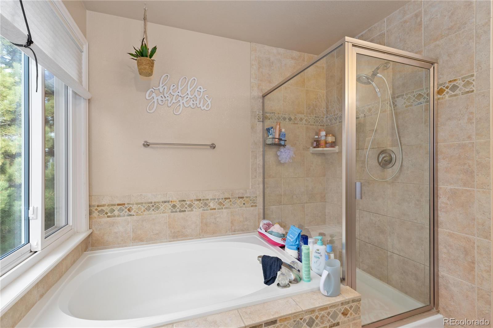 16224 Quarry Hill Drive Parker CO 80134
