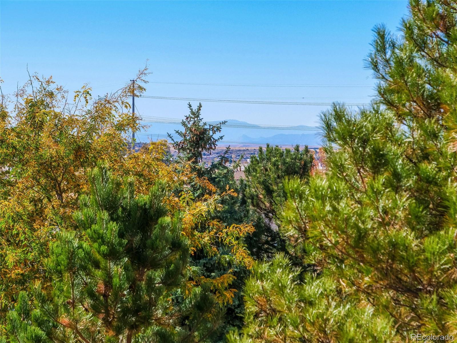 24562 E Davies Way Aurora CO 80016