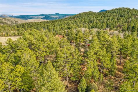 15175 S Huerfano Lane Pine CO 80470