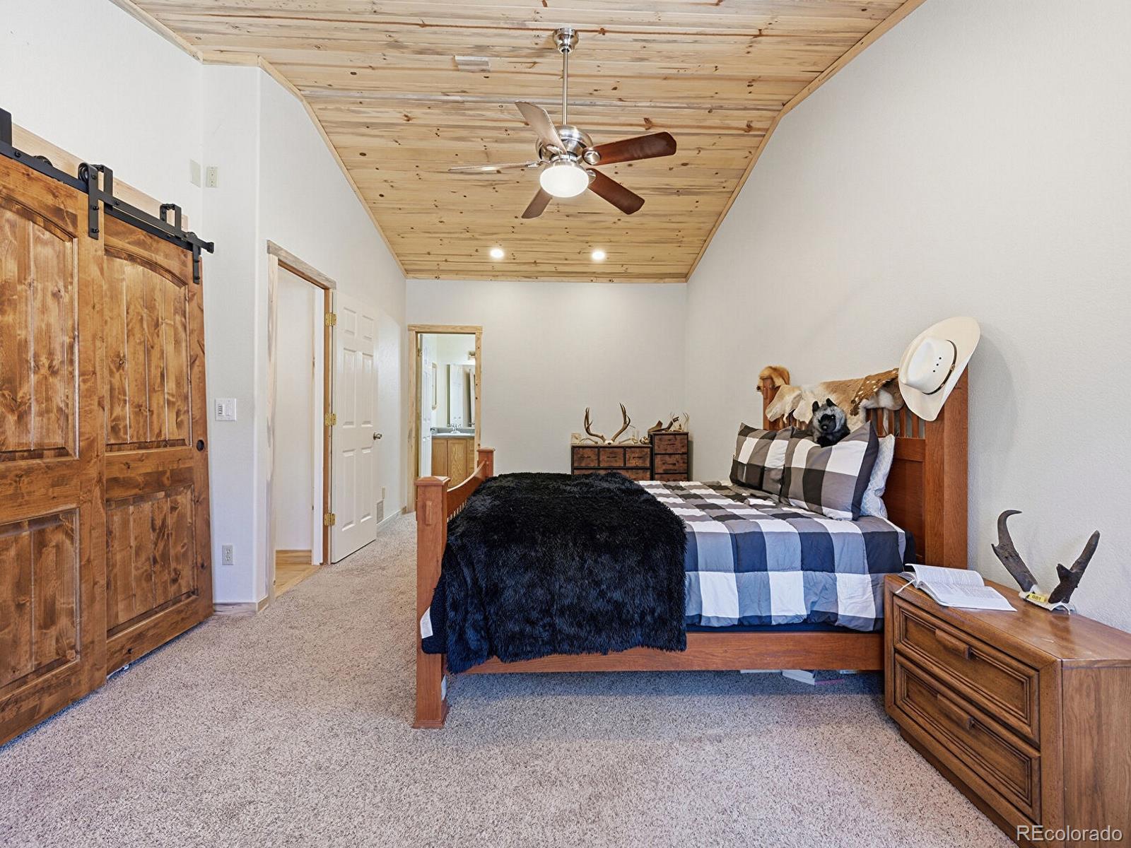 234 Impala Trail Bailey CO 80421