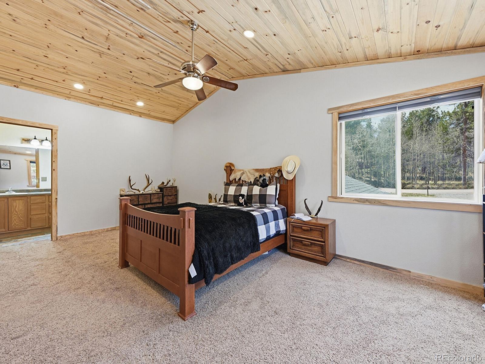 234 Impala Trail Bailey CO 80421