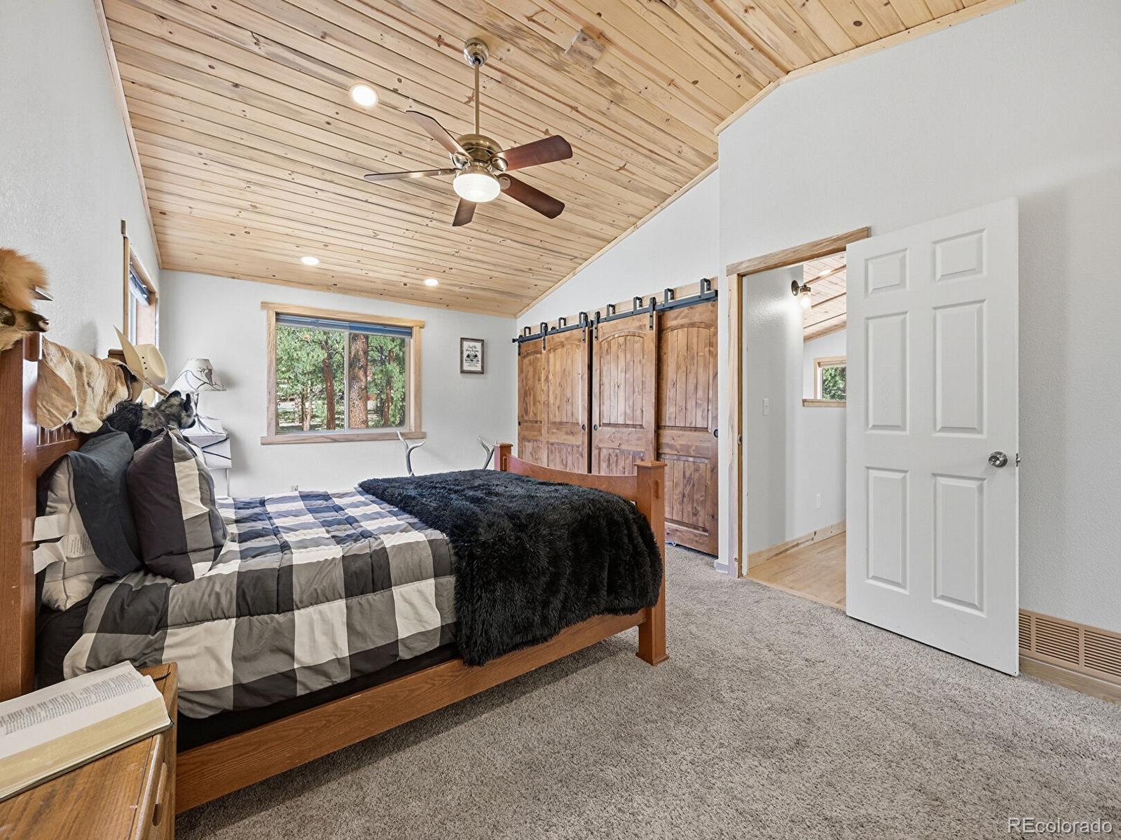 234 Impala Trail Bailey CO 80421