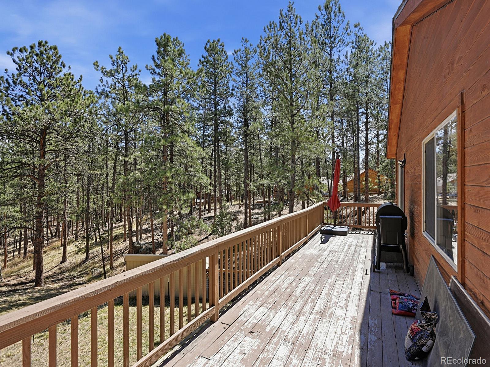 234 Impala Trail Bailey CO 80421
