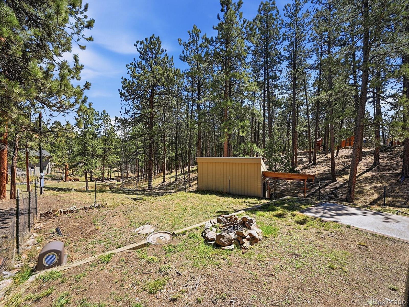 234 Impala Trail Bailey CO 80421