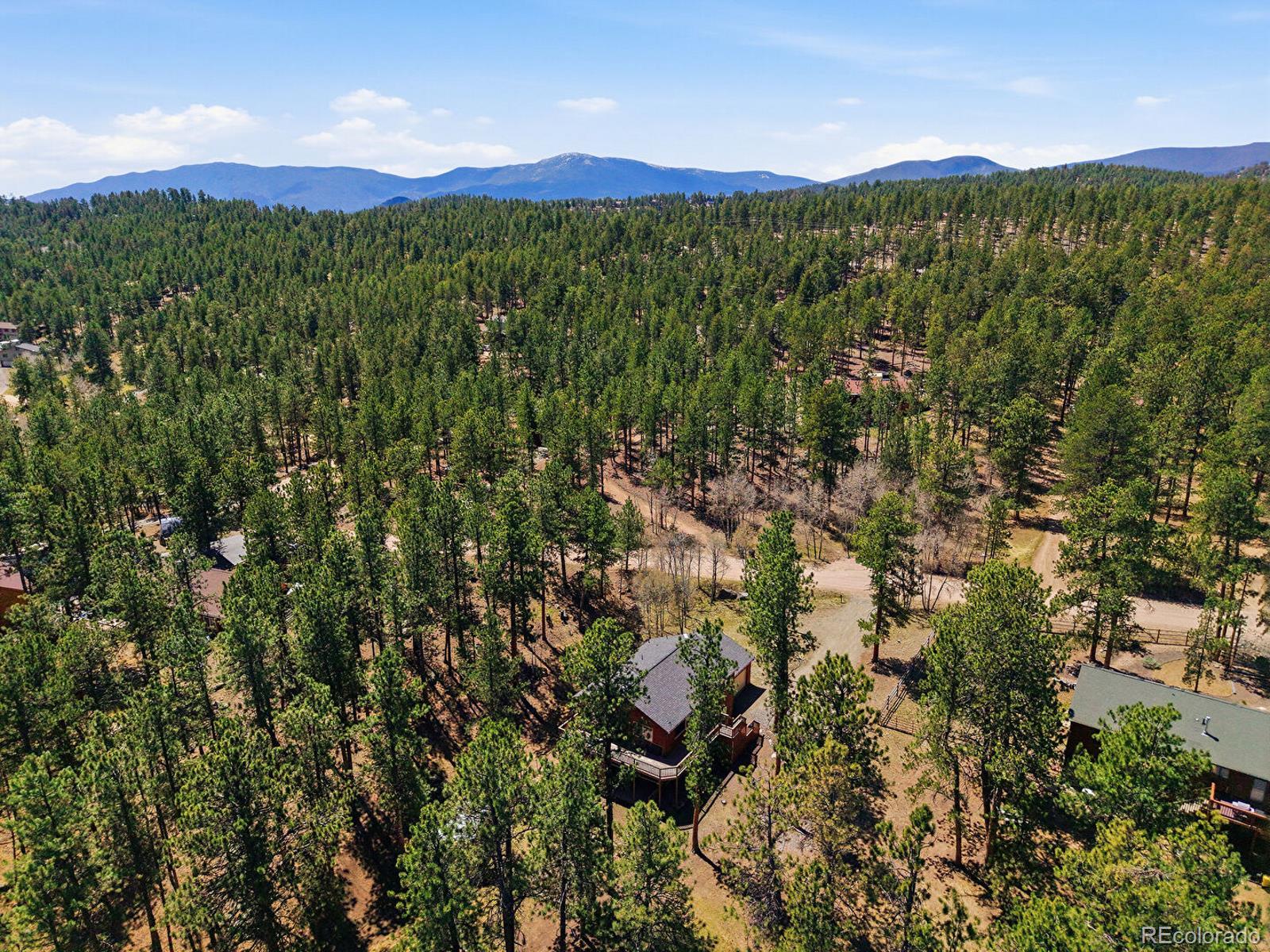 234 Impala Trail Bailey CO 80421