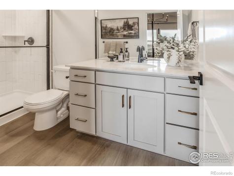 943 Trumpet Lane Windsor CO 80550