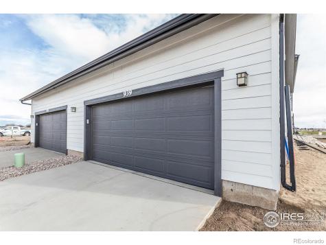 943 Trumpet Lane Windsor CO 80550