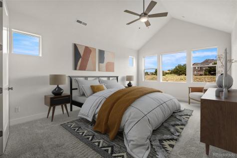 17137 Alsike Clover Court Monument CO 80132