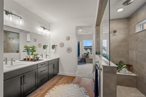 17137 Alsike Clover Court Monument CO 80132