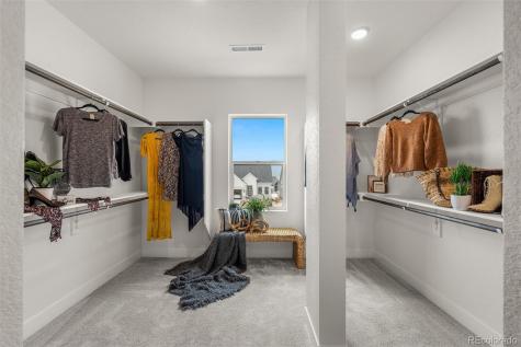 17137 Alsike Clover Court Monument CO 80132