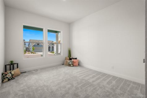 17137 Alsike Clover Court Monument CO 80132