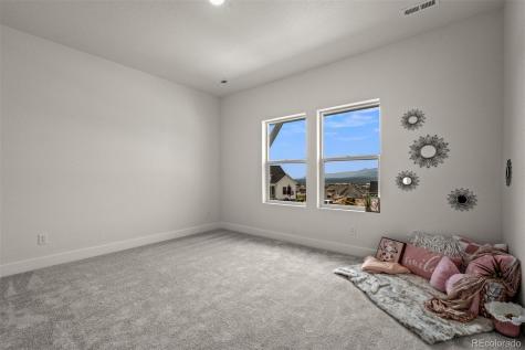 17137 Alsike Clover Court Monument CO 80132