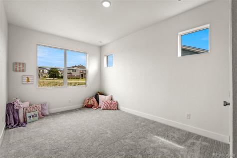 17137 Alsike Clover Court Monument CO 80132