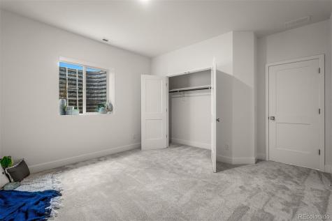 17137 Alsike Clover Court Monument CO 80132