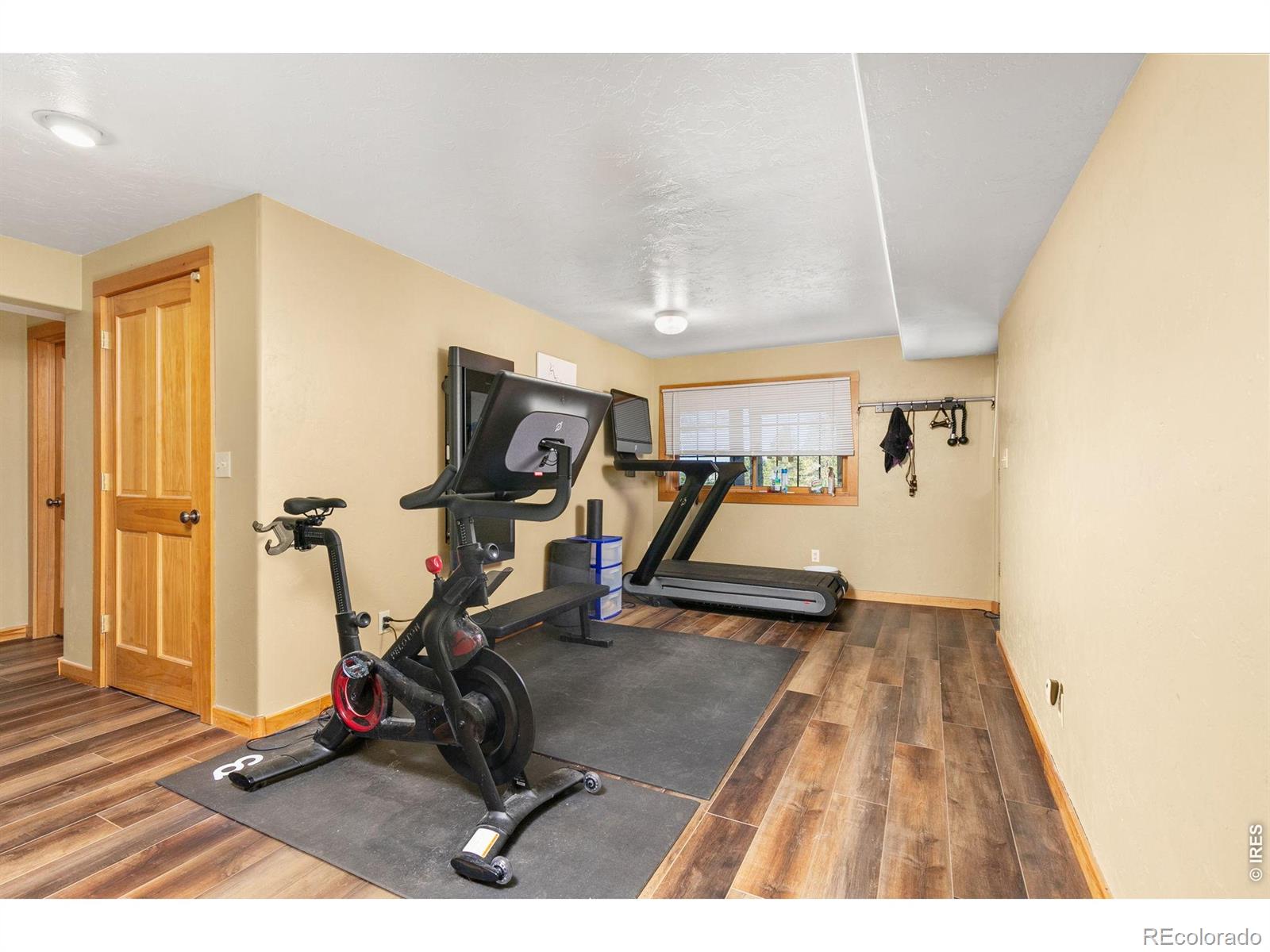 274 Iron Mountain Drive Livermore CO 80536