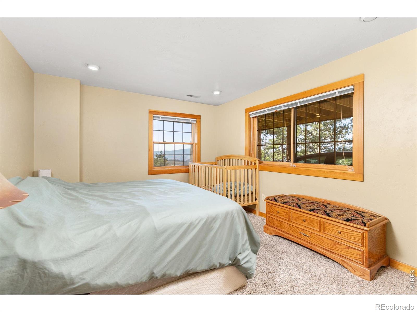 274 Iron Mountain Drive Livermore CO 80536