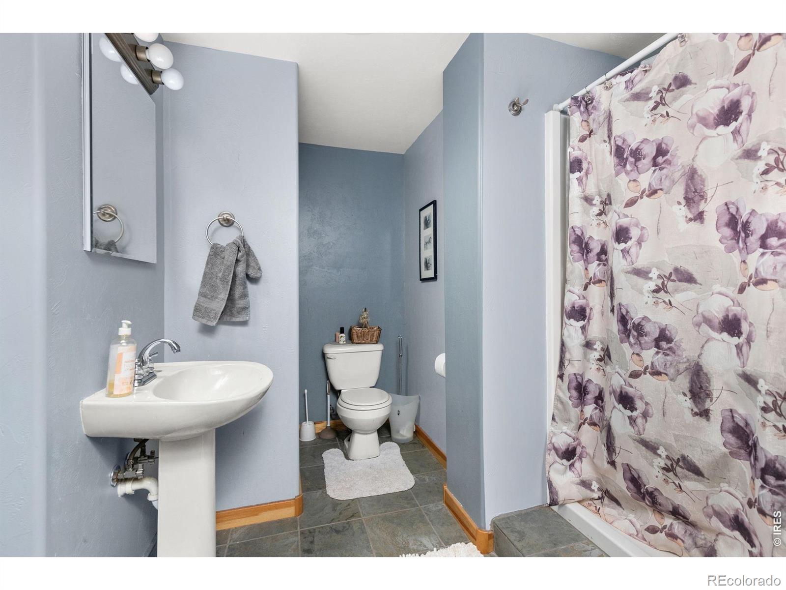 274 Iron Mountain Drive Livermore CO 80536