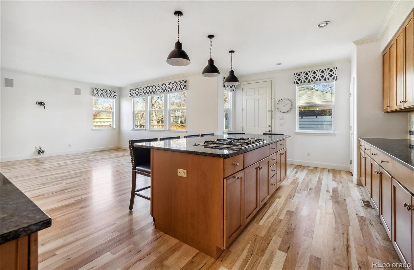 2896 Emporia Street Denver CO 80238