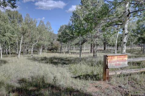 255 Saddlestring Road Bailey CO 80421