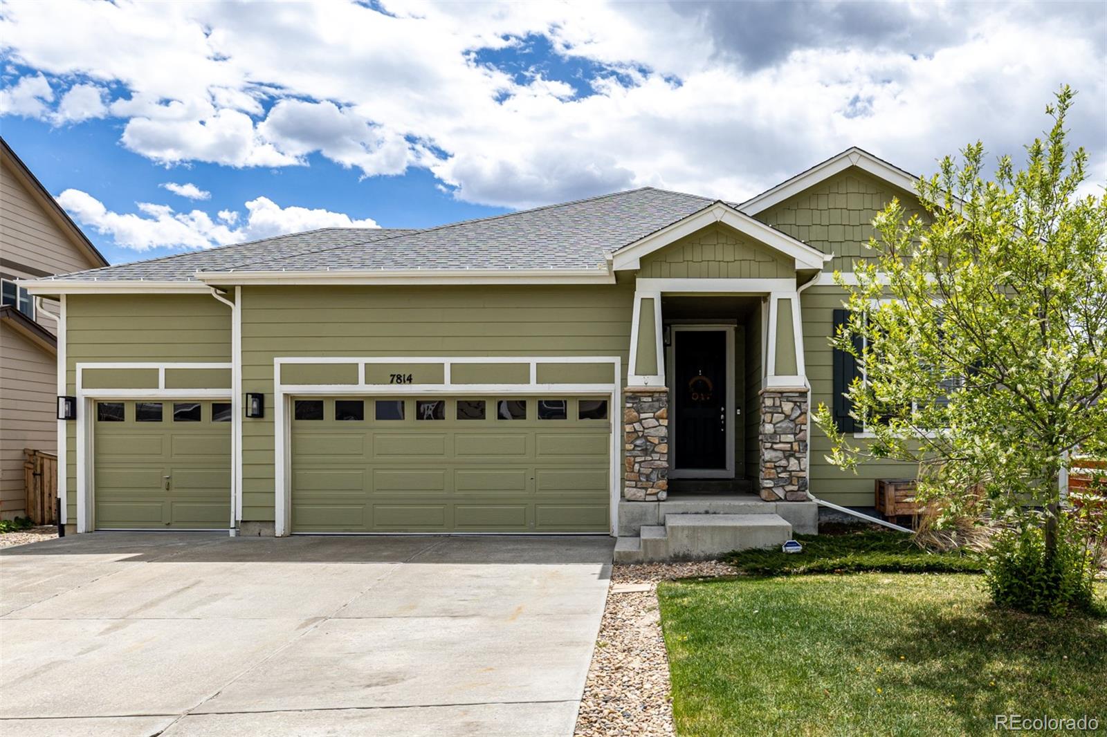 7814 Grady Circle Castle Rock CO 80108