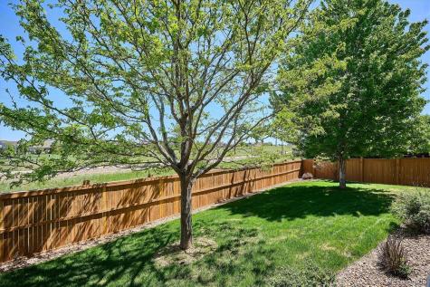 15663 E Pine Drop Avenue Parker CO 80134