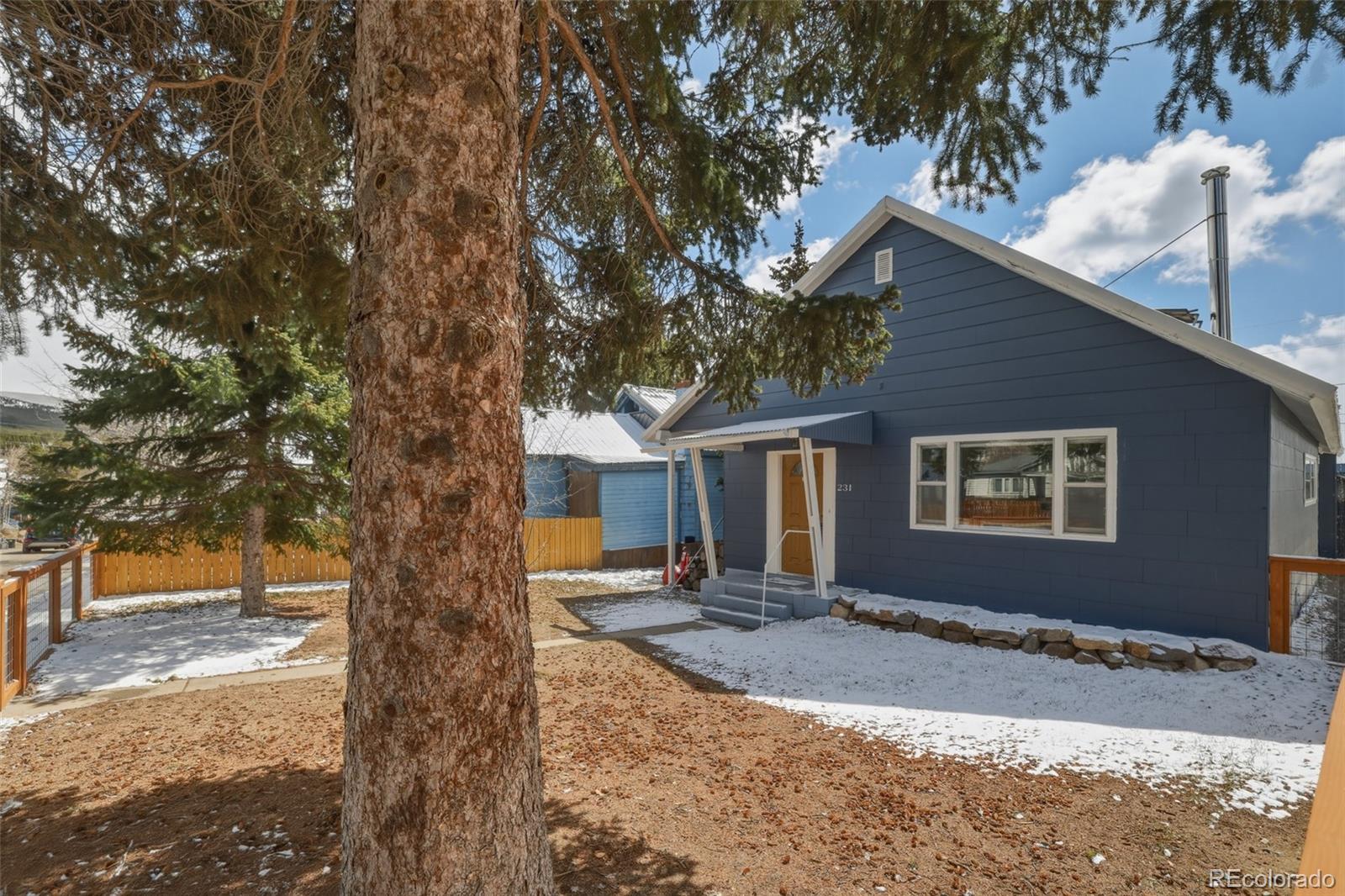 231 W 8th Street Leadville CO 80461