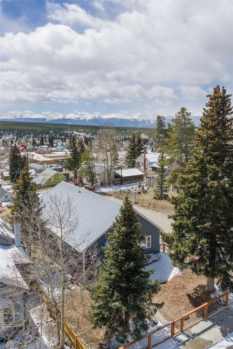 231 W 8th Street Leadville CO 80461