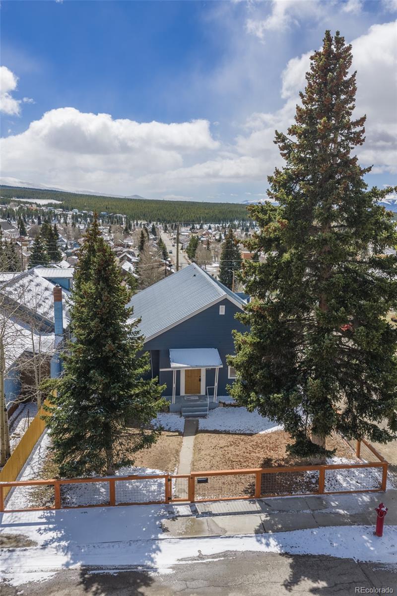 231 W 8th Street Leadville CO 80461