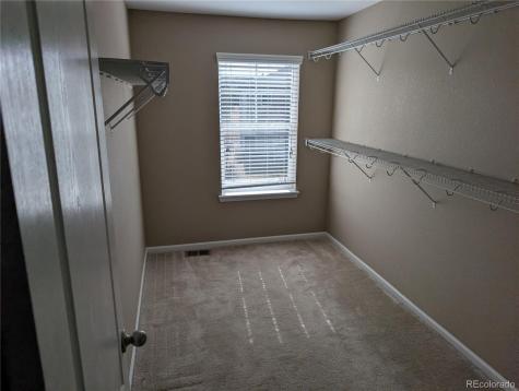 2633 Garganey Drive Castle Rock CO 80104