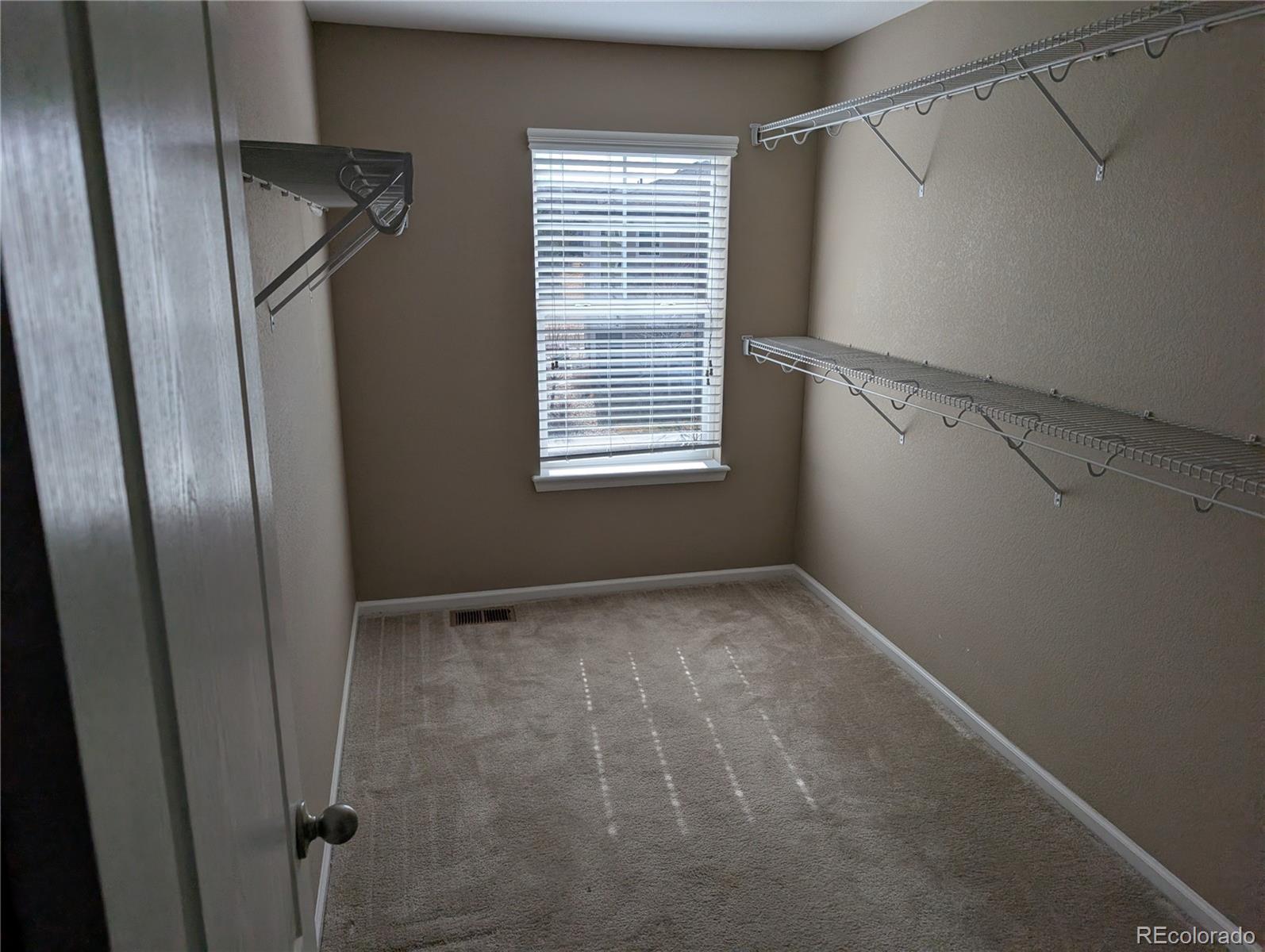 2633 Garganey Drive Castle Rock CO 80104