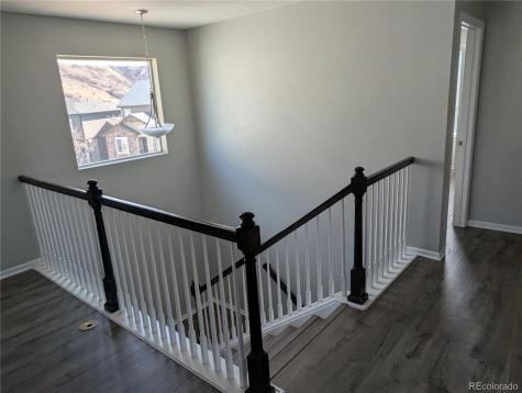 2633 Garganey Drive Castle Rock CO 80104