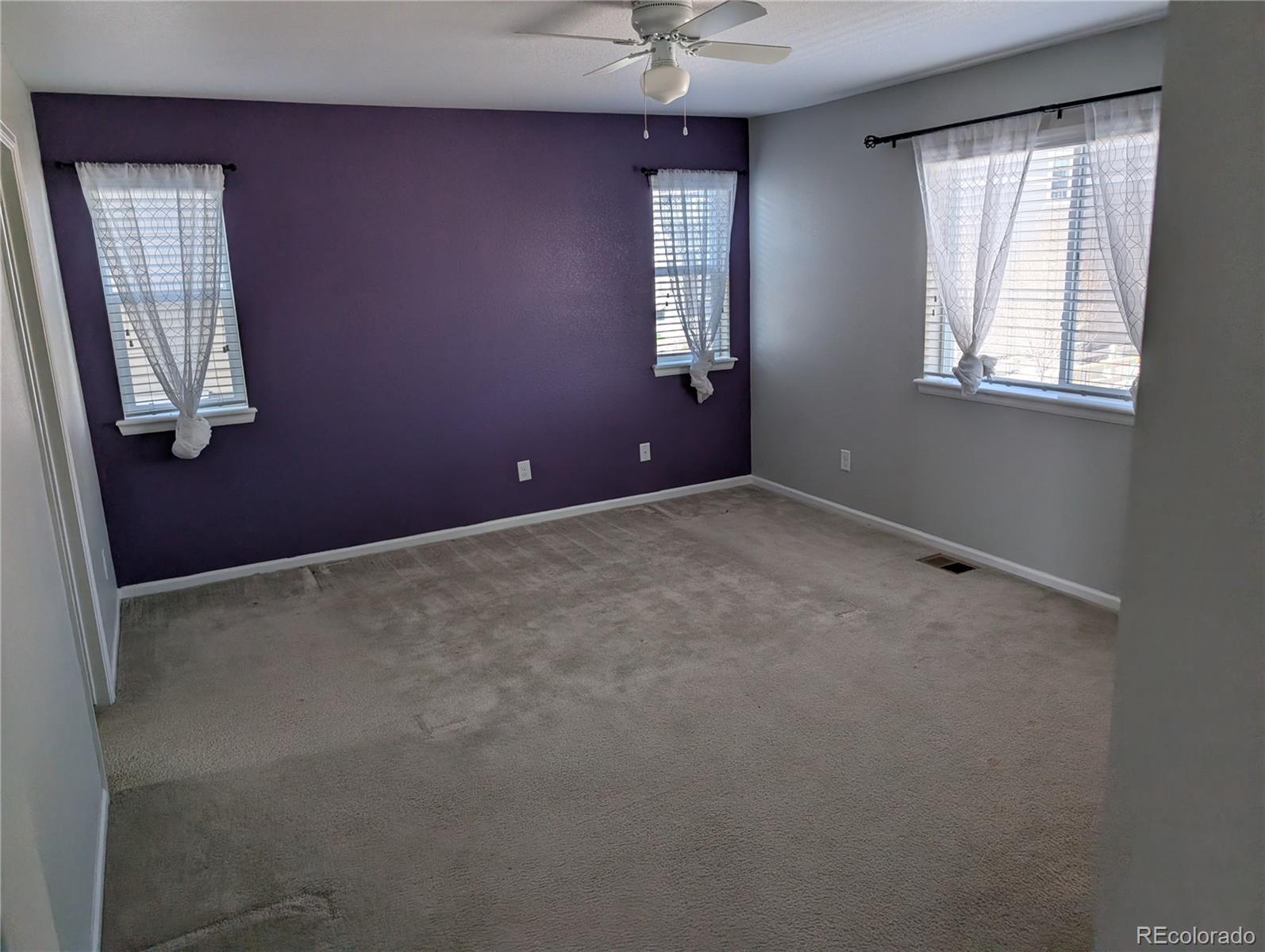 2633 Garganey Drive Castle Rock CO 80104